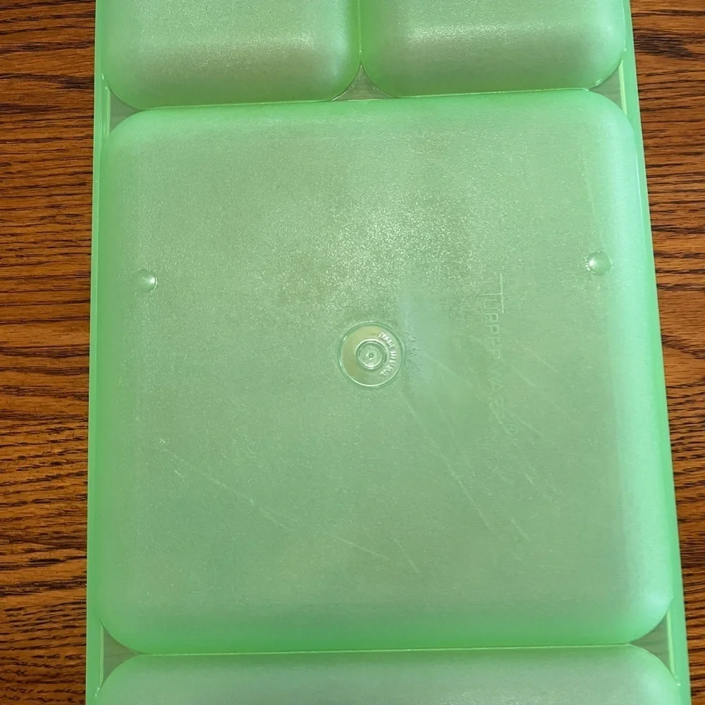 Tupperware Classic Divided Picnic Camping‎ Trays Set of 4 Multicolor #1535